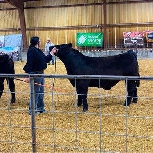 Meet your Posher, Deviney